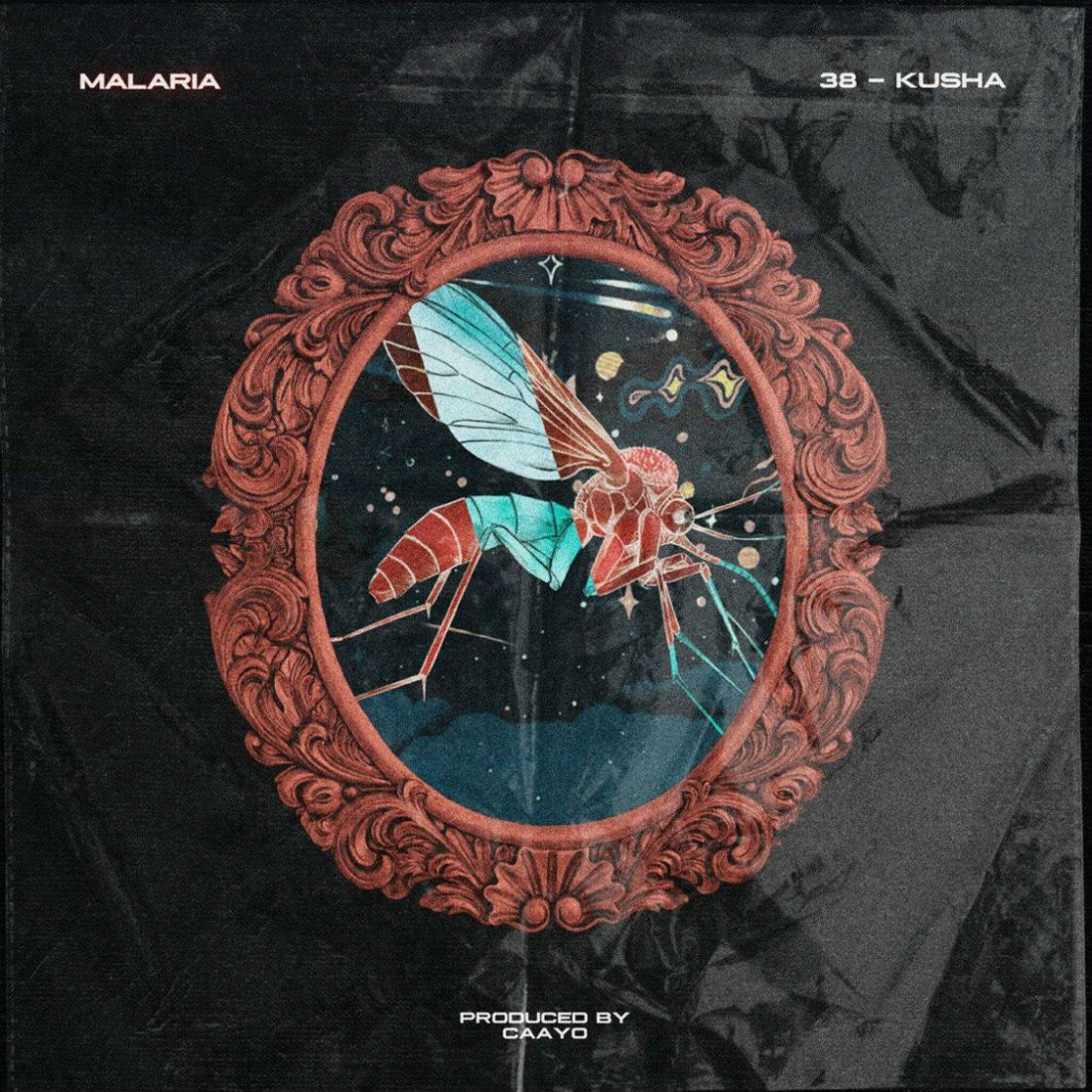 38 & Kusha - Malaria