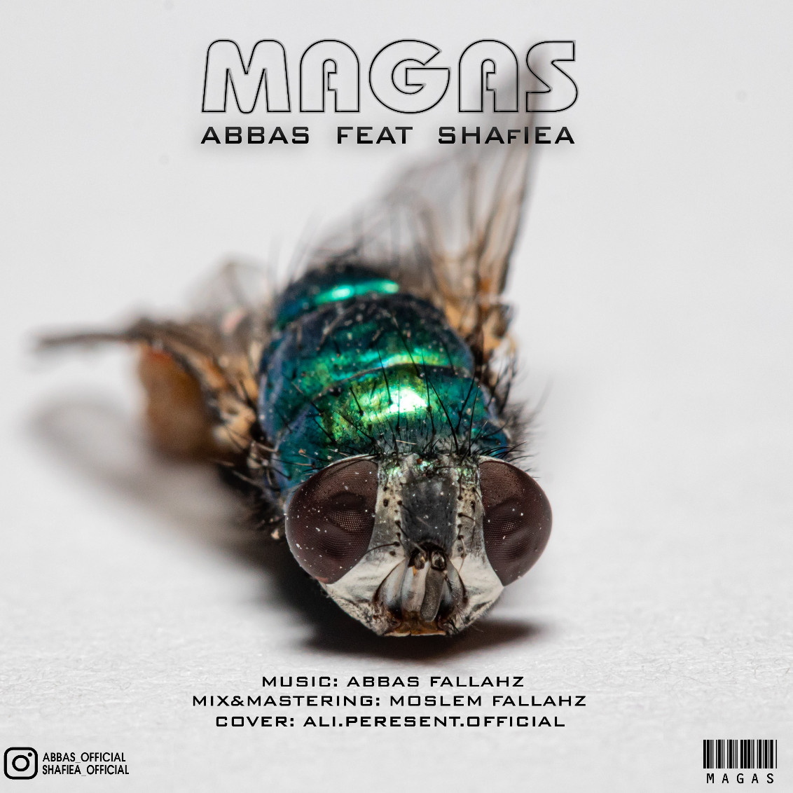 Abbas Ft Shafiea - Magas