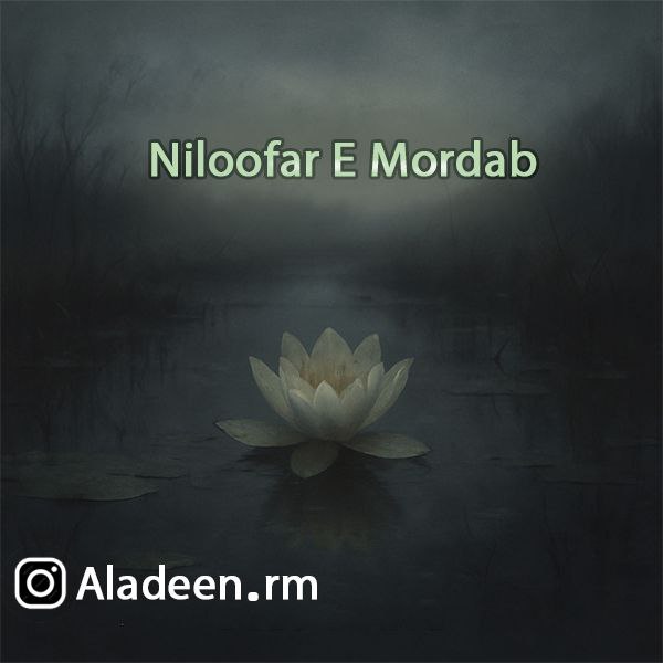 Aladeen - Niloofar E Mordab