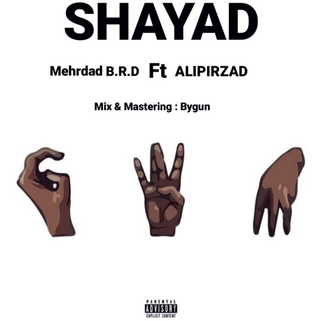 Ali Pirzad Ft Mehrdad B.R.D - Shayad
