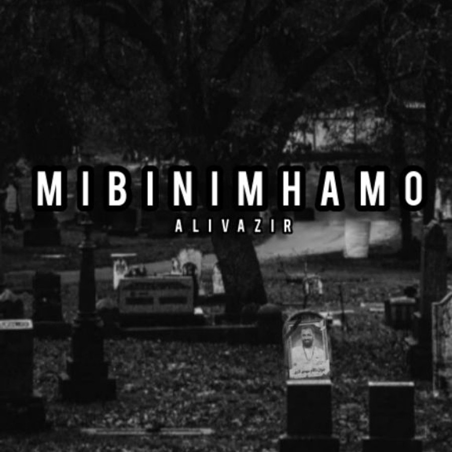 Ali Vazir - Mibinim Hamo
