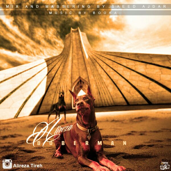 علیرضاتی - دوبرمن