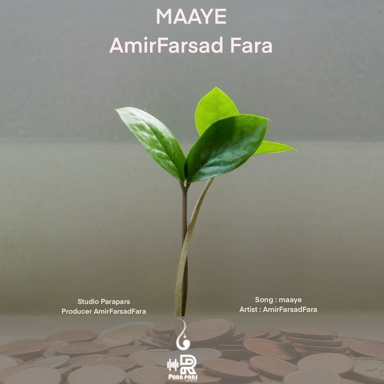 AmirFarsad Fara - Maaye