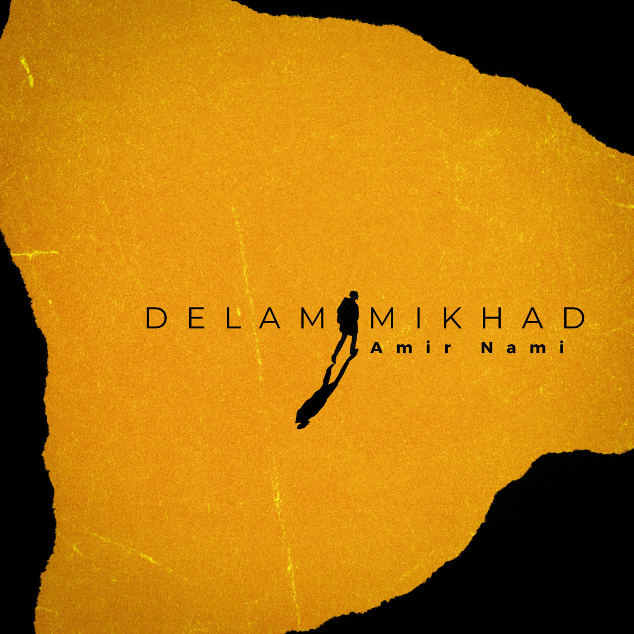 Amir Nami - Delam Mikhad
