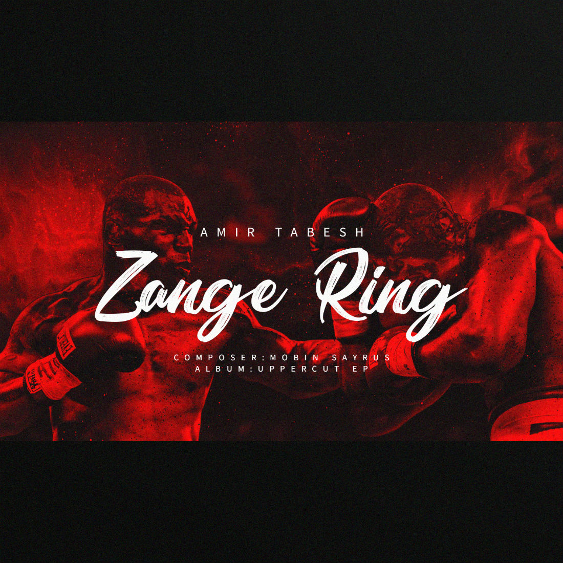 Amir Tabesh - Zange Ring