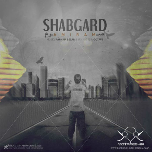 امیرم - شبگرد