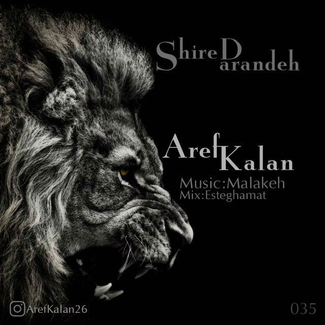 Aref Kalan - Shire Darandeh