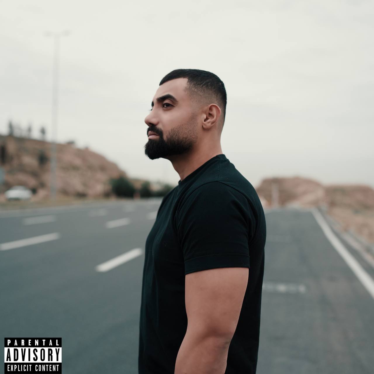 Aser - Decori