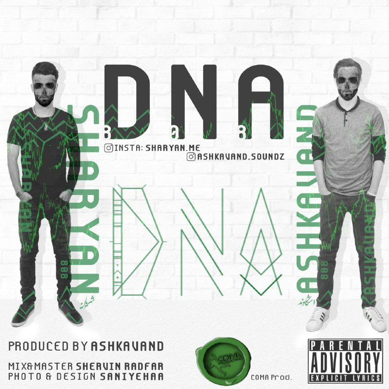 Ashkavand & Sharyan - DNA