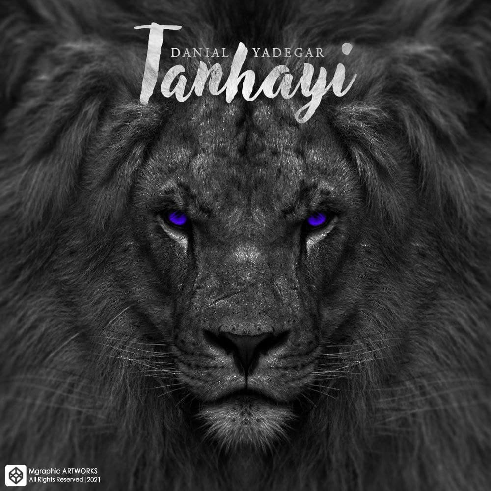 Danial Yadegar - Tanhayi