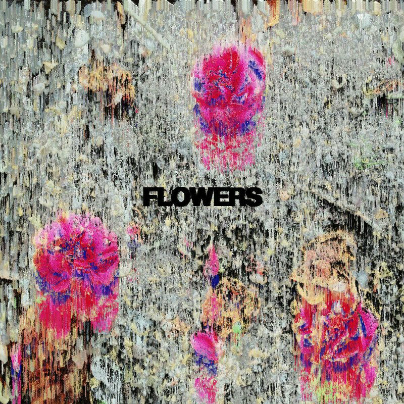 Ehsan Ziya - Flowers