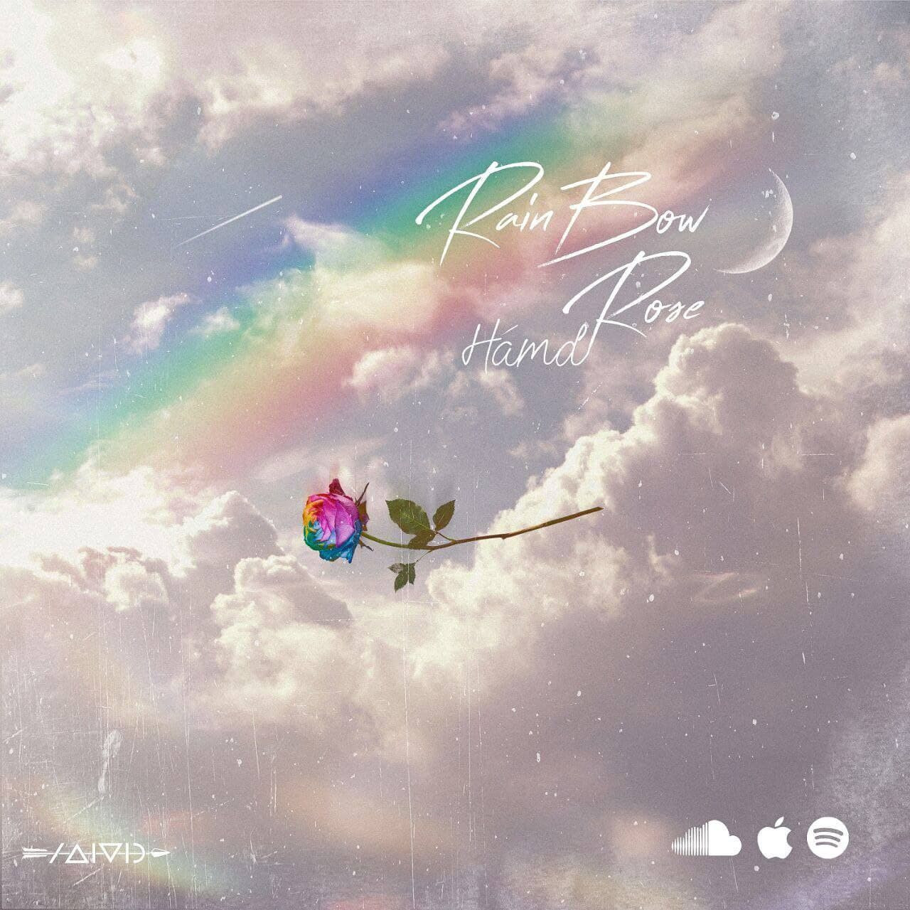 Hamd - Rainbow Rose