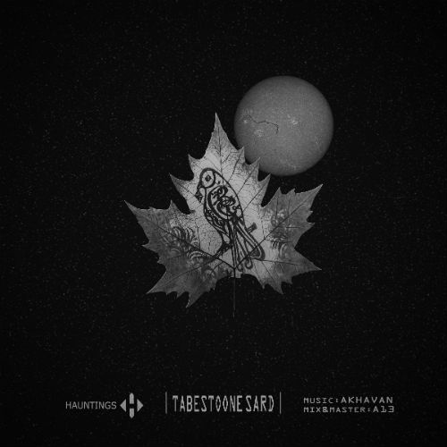 گروه Hauntings - تابستون سرد