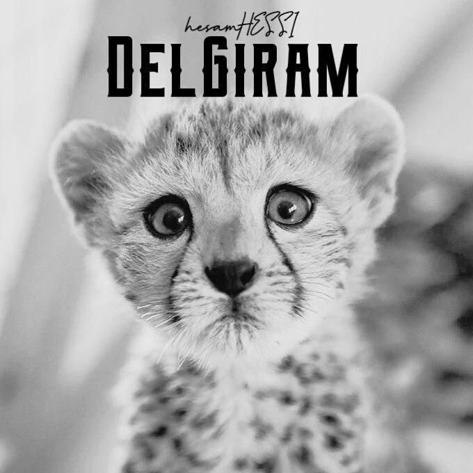 Hesam Hessi - Delgiram
