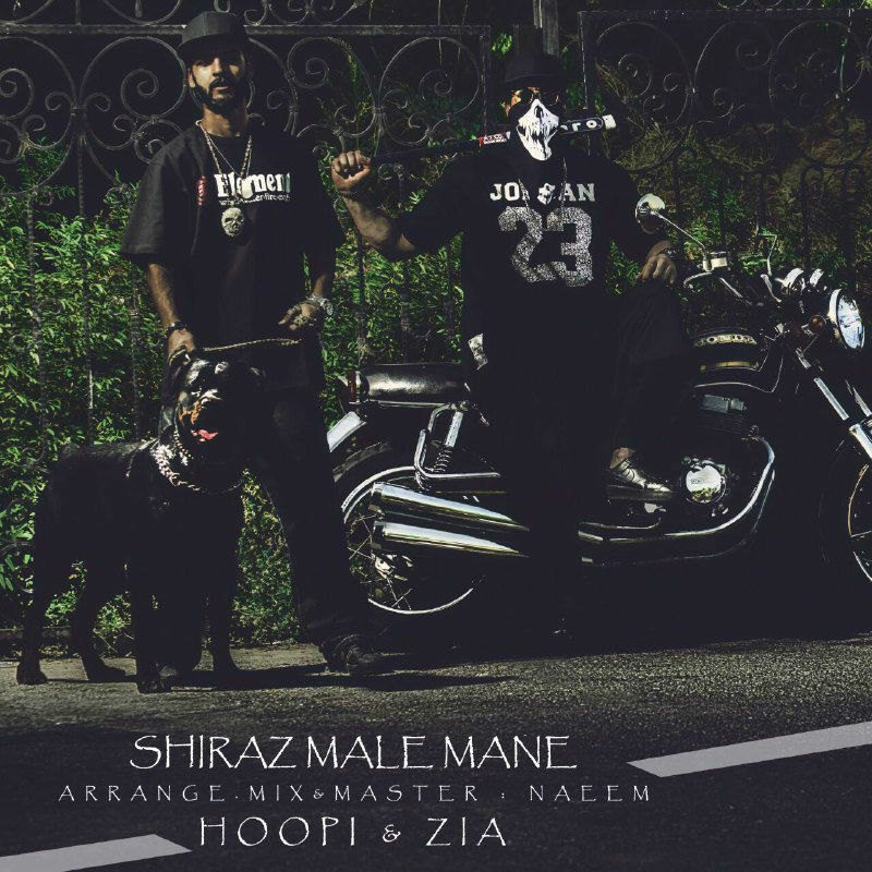 Hoopi Ft Zia - Shiraz Male Mane