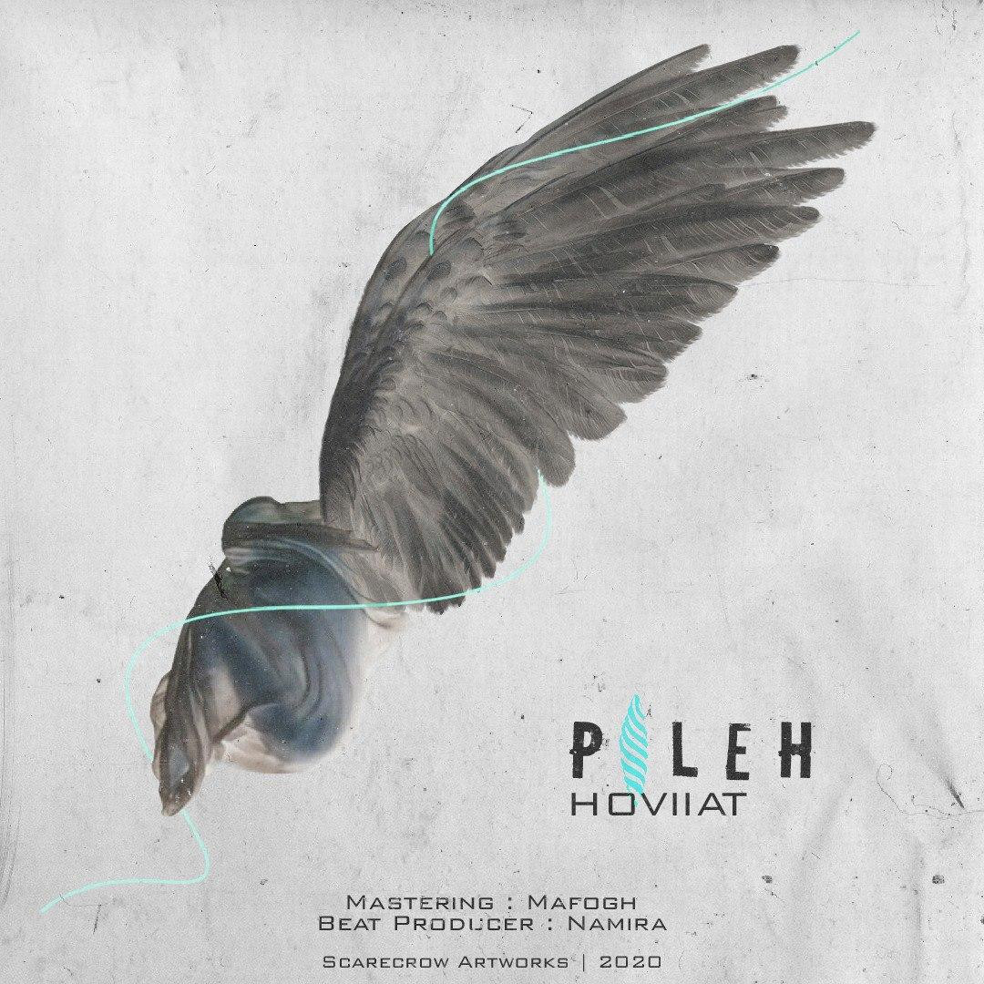 Hoviiat - Pileh
