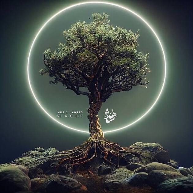 Jaweed - Shahed