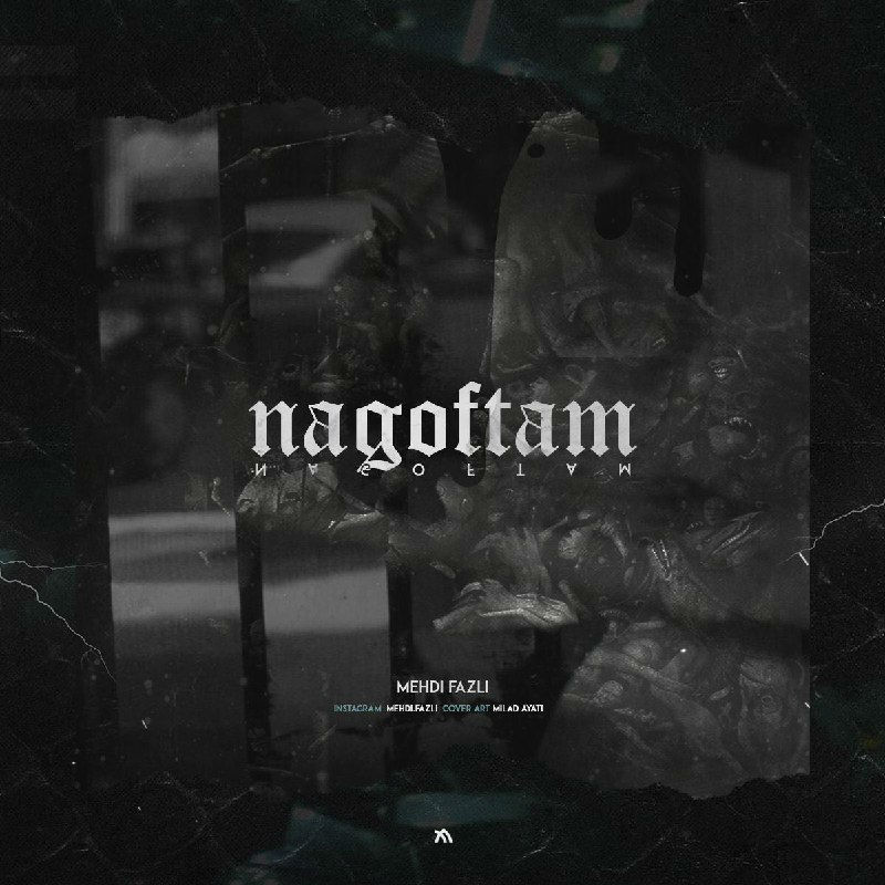 Mehdi Fazli - Nagoftam