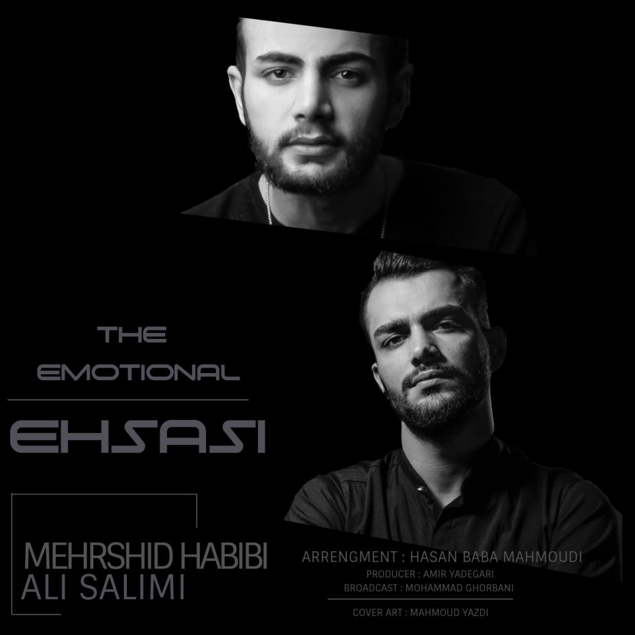 Mehrshid Habibi Ft Ali Salimi - Ehsasi