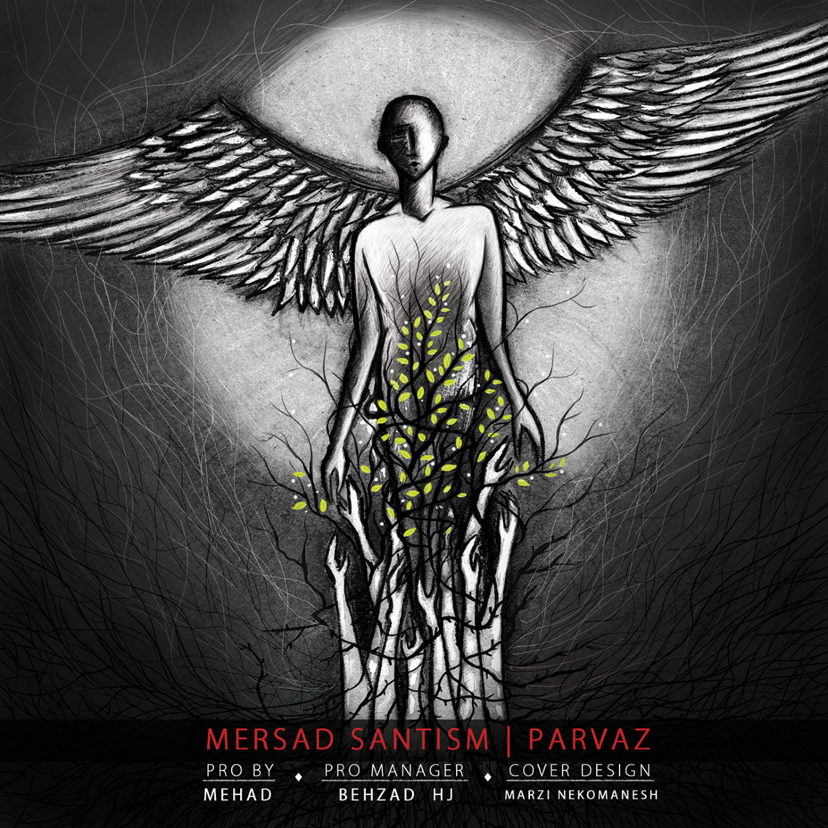 Mersad Santism - Parvaz