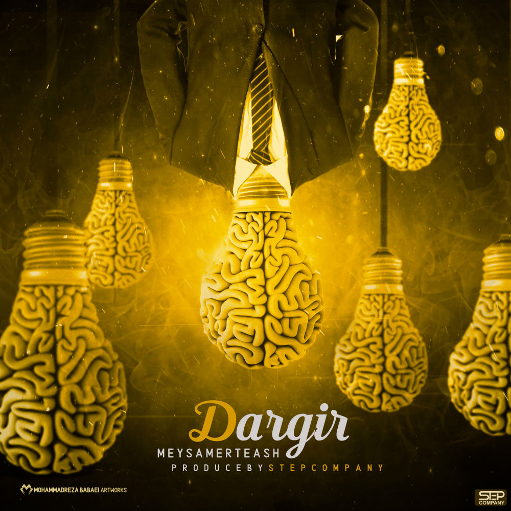 Meysam Erteash - Dargir
