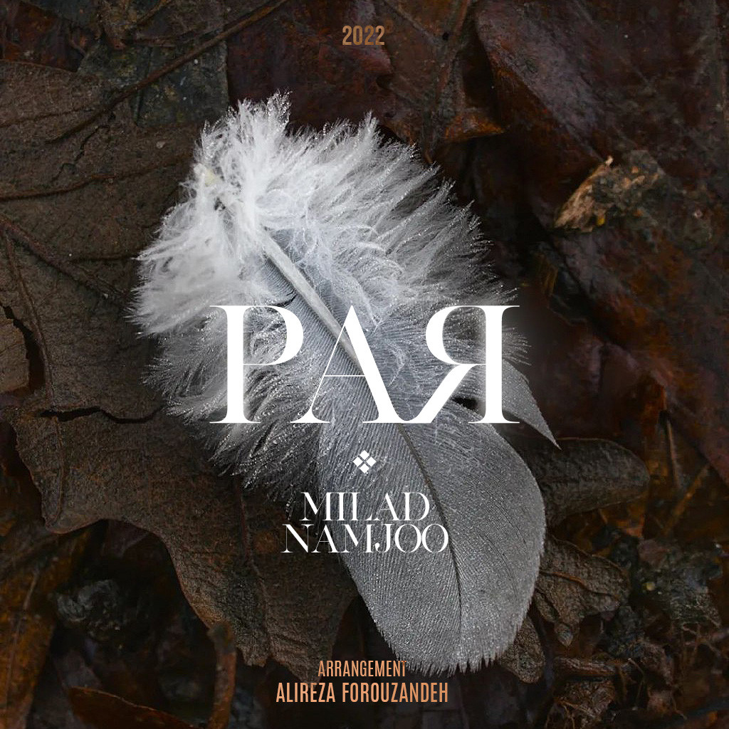 Milad Namjoo - Par