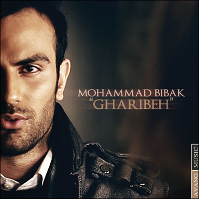 آهنگ جدید محمد بیباک به نام غریبه