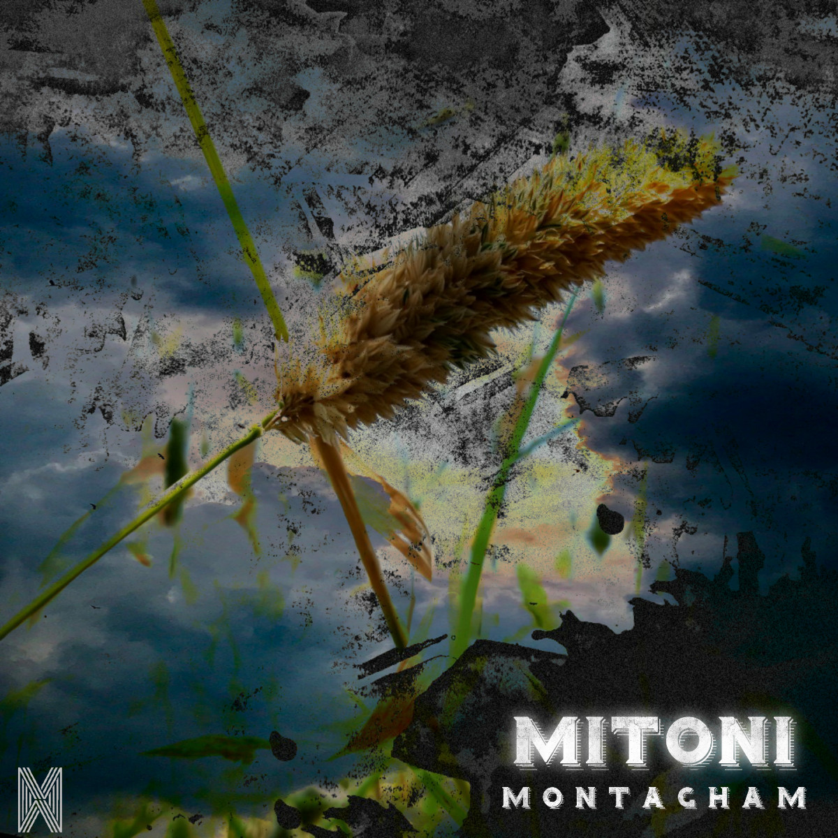 Montagham - Mitooni