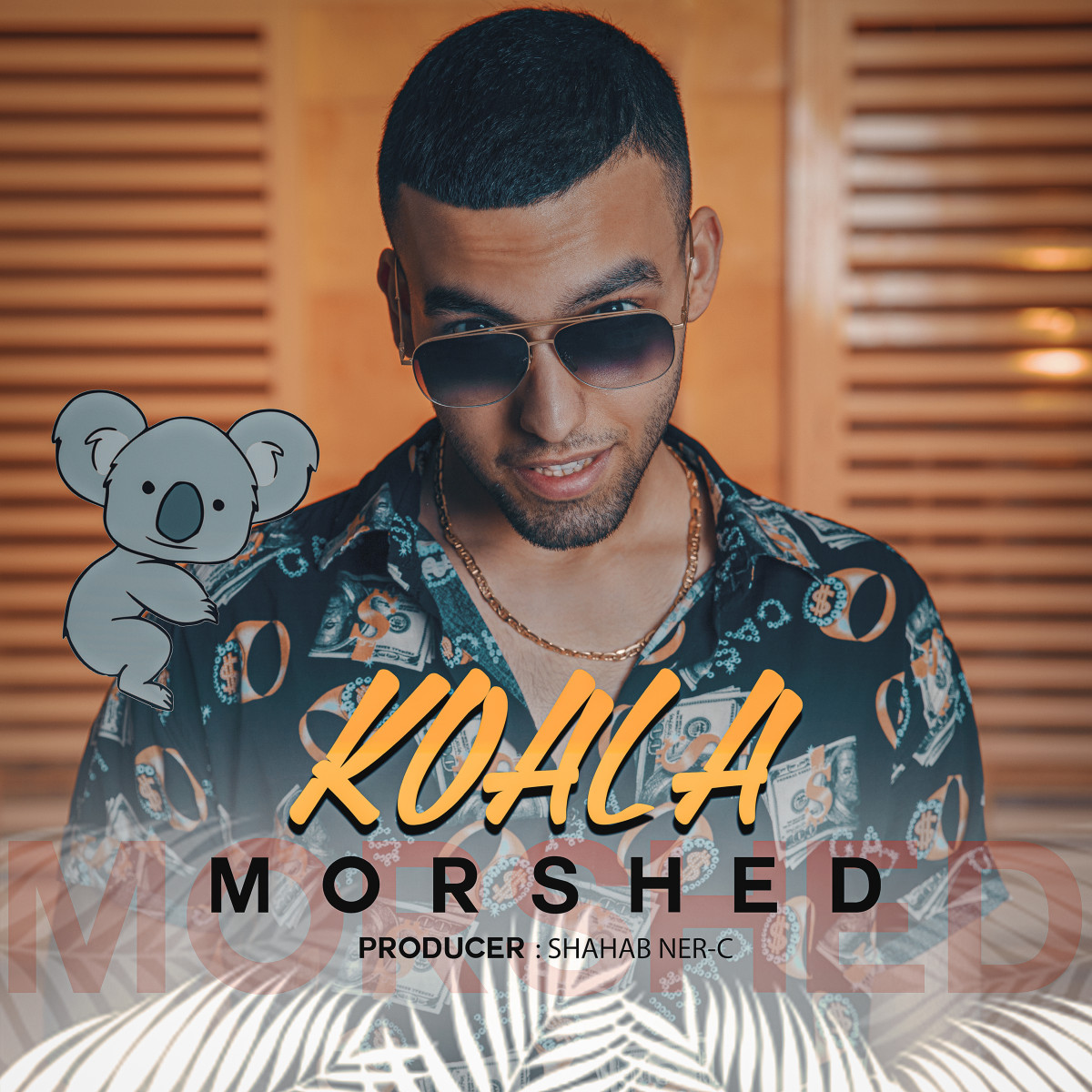 Morshed - Koala
