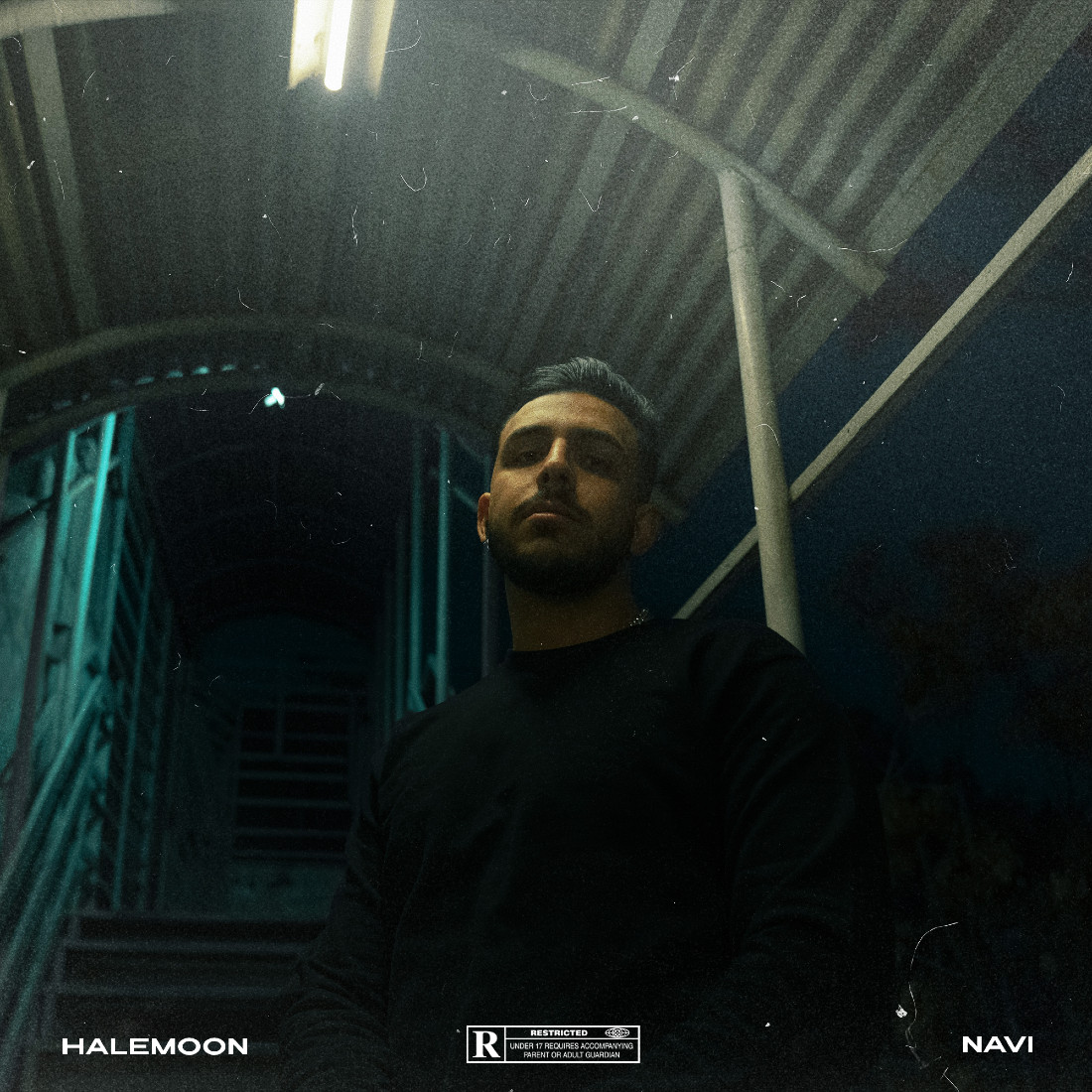 Navi - Halemoon