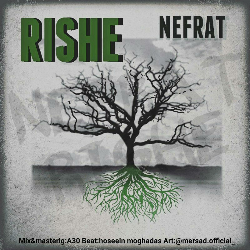 Nefrat - Rishe