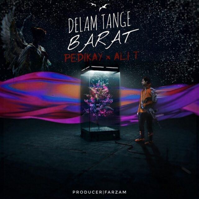 Pedikay & Ali T - Delam Tange Barat