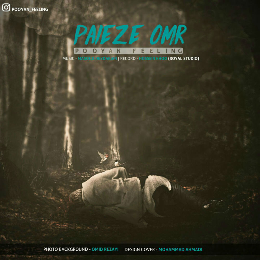 Pooyan Feeling - Paeize Omr