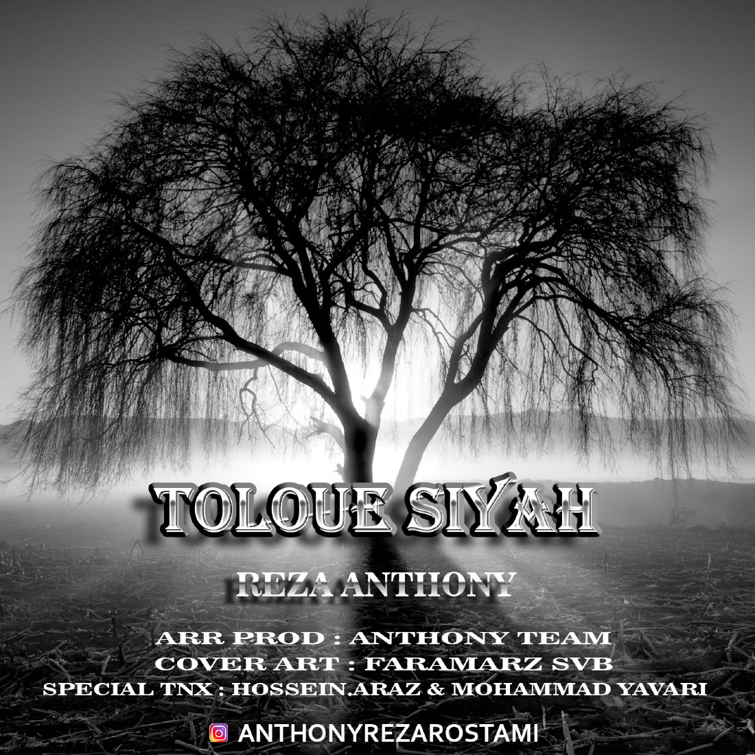 Reza Anthony - Toloue Siyah
