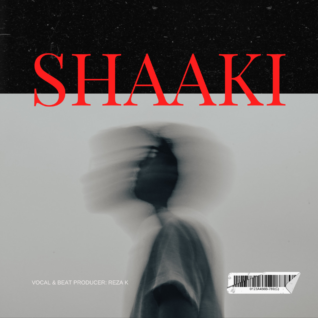 Reza K - Shaaki