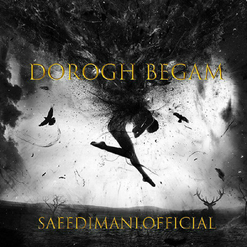 Saeed Imani - Dorogh Begam