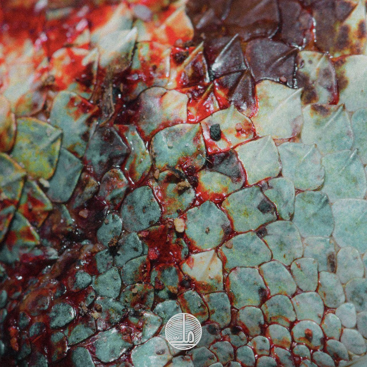 Safir - Gozar