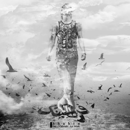 شاهین - فرهنگ