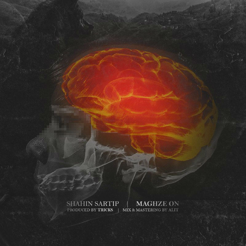 Shahin Sartip - Maghze On