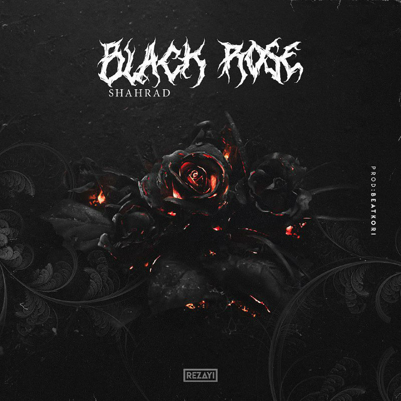 Shahrad AZ - BLACK ROSE