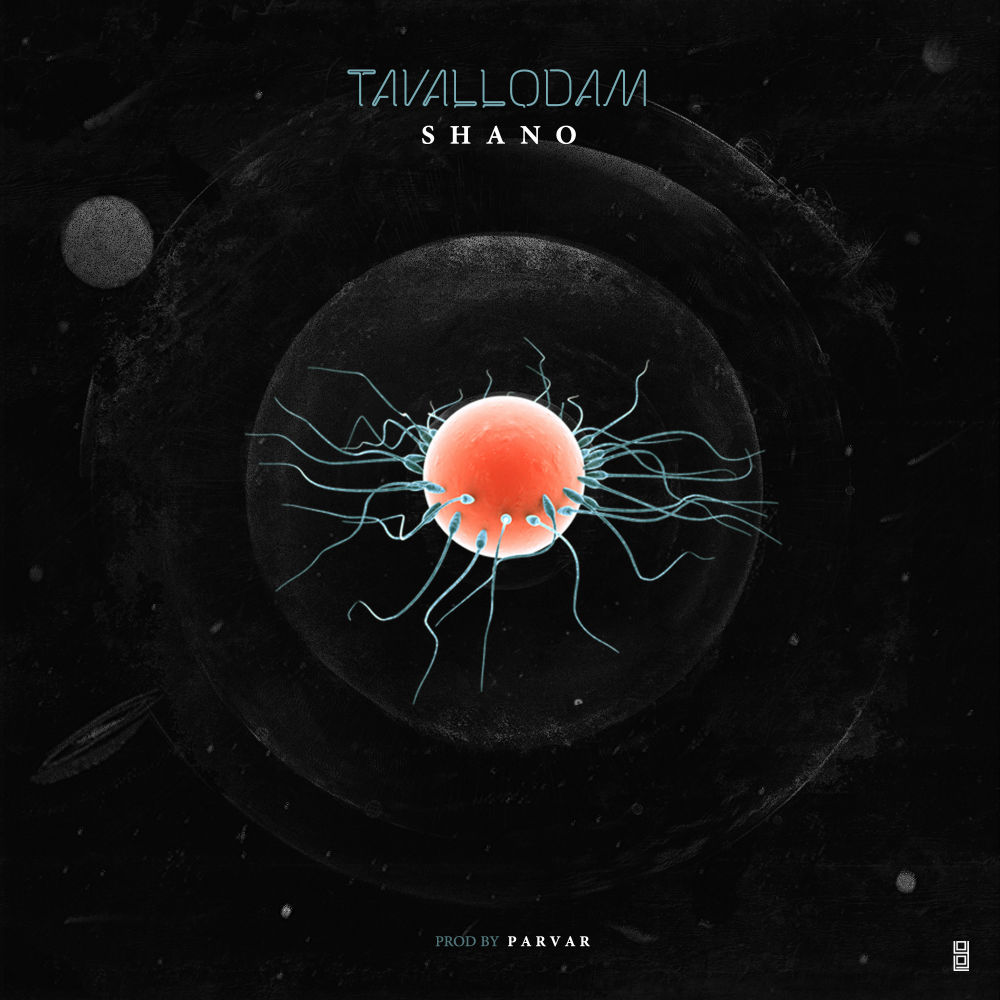 Shano - Tavallodam