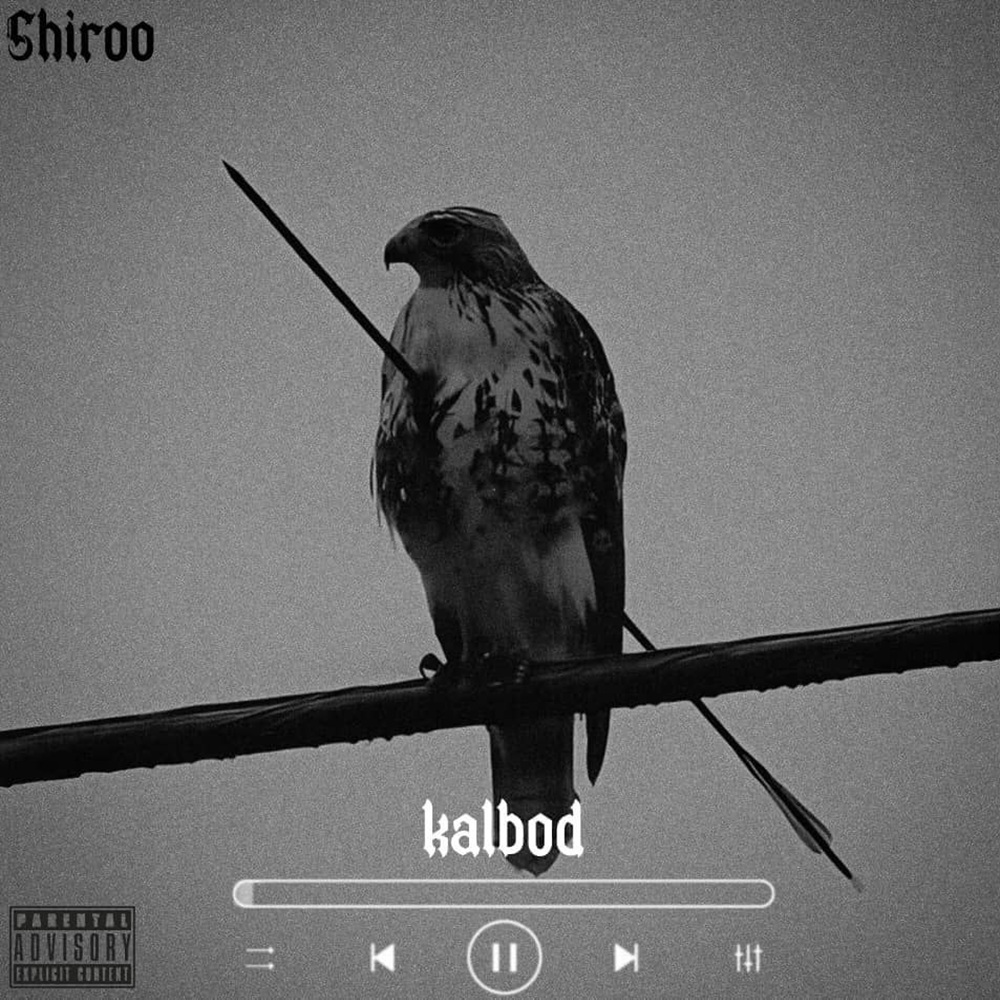 Shiroo - Kalbod
