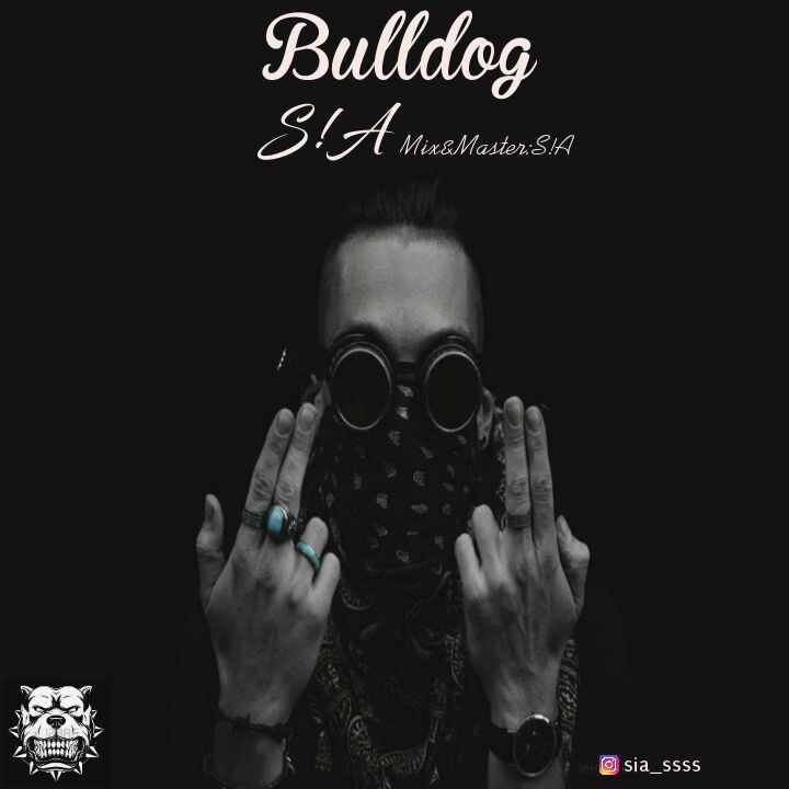 S!A - Bulldog