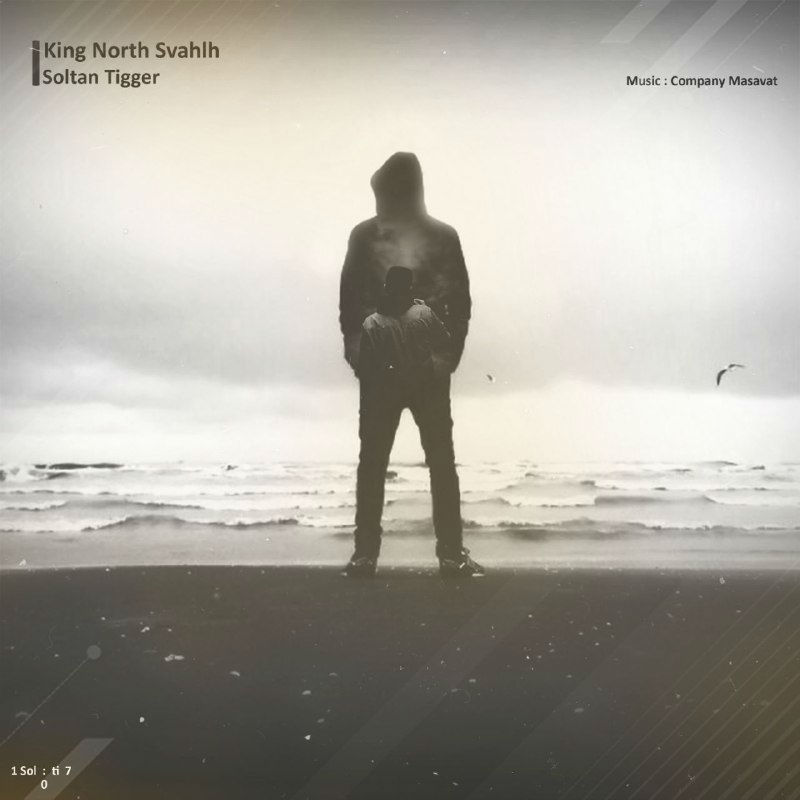 Soltan Tigger - King North Svahlh