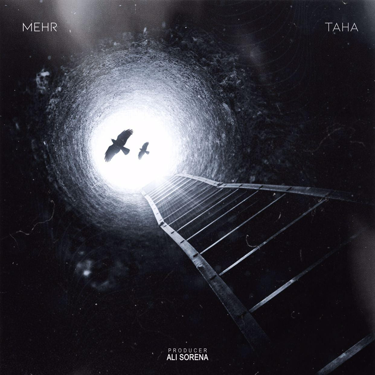Taha - Mehr