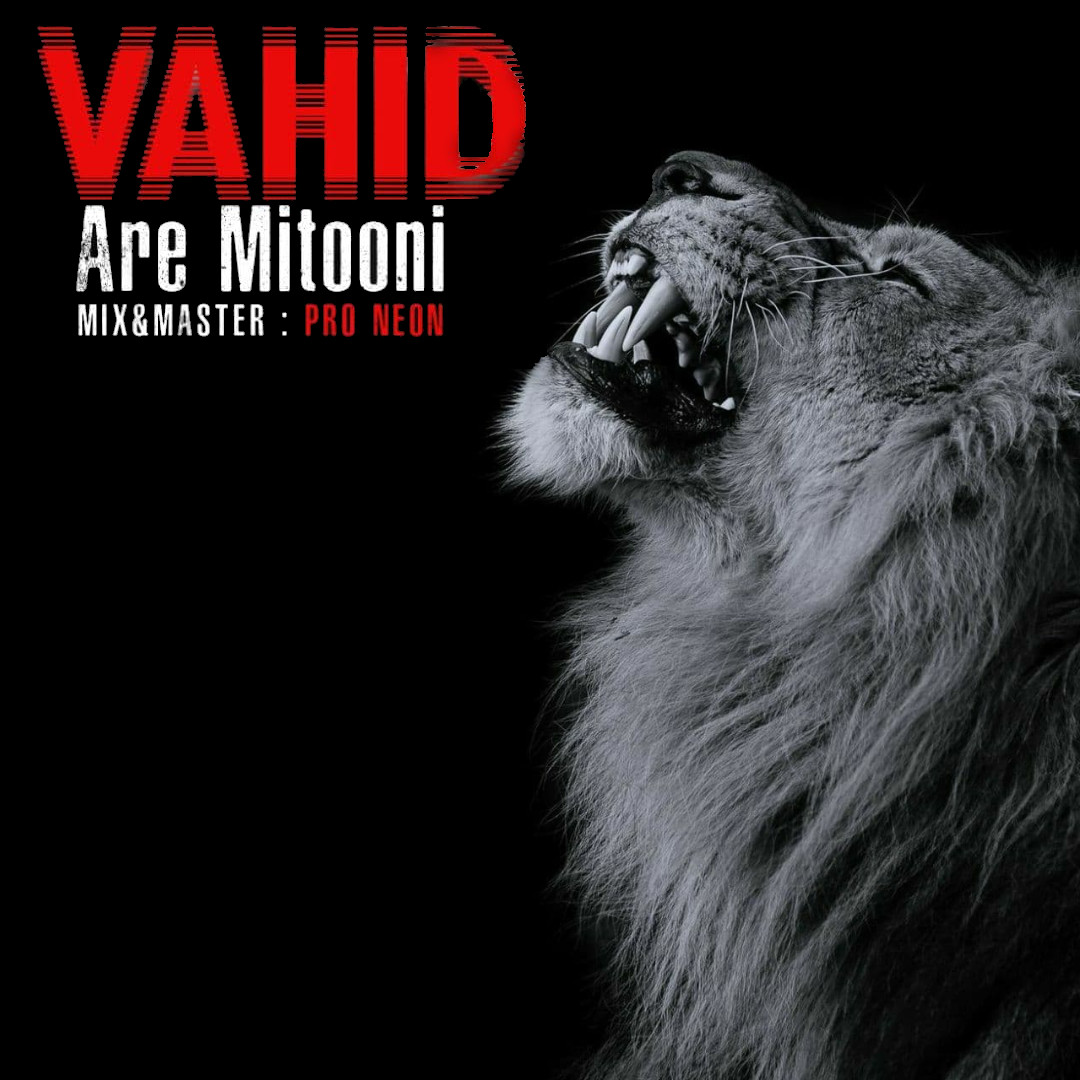 Vahid - Are Mitooni
