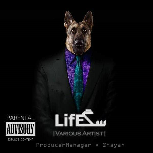 Various Artists - SagLife