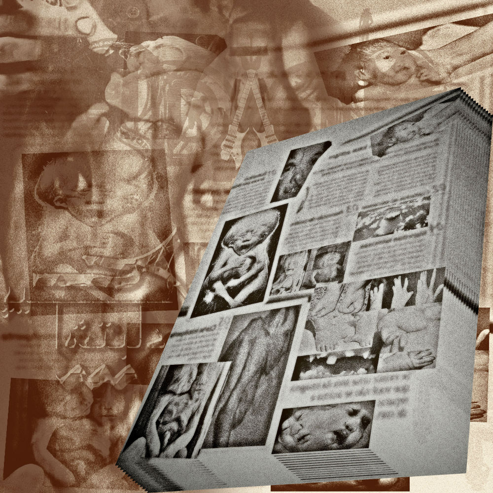 ZomB13 - Piche Eshtebah