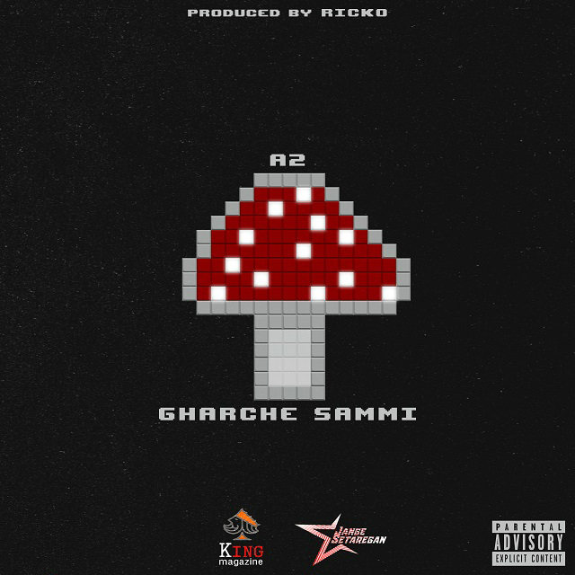 AmirAli A2 - Gharche Sammi