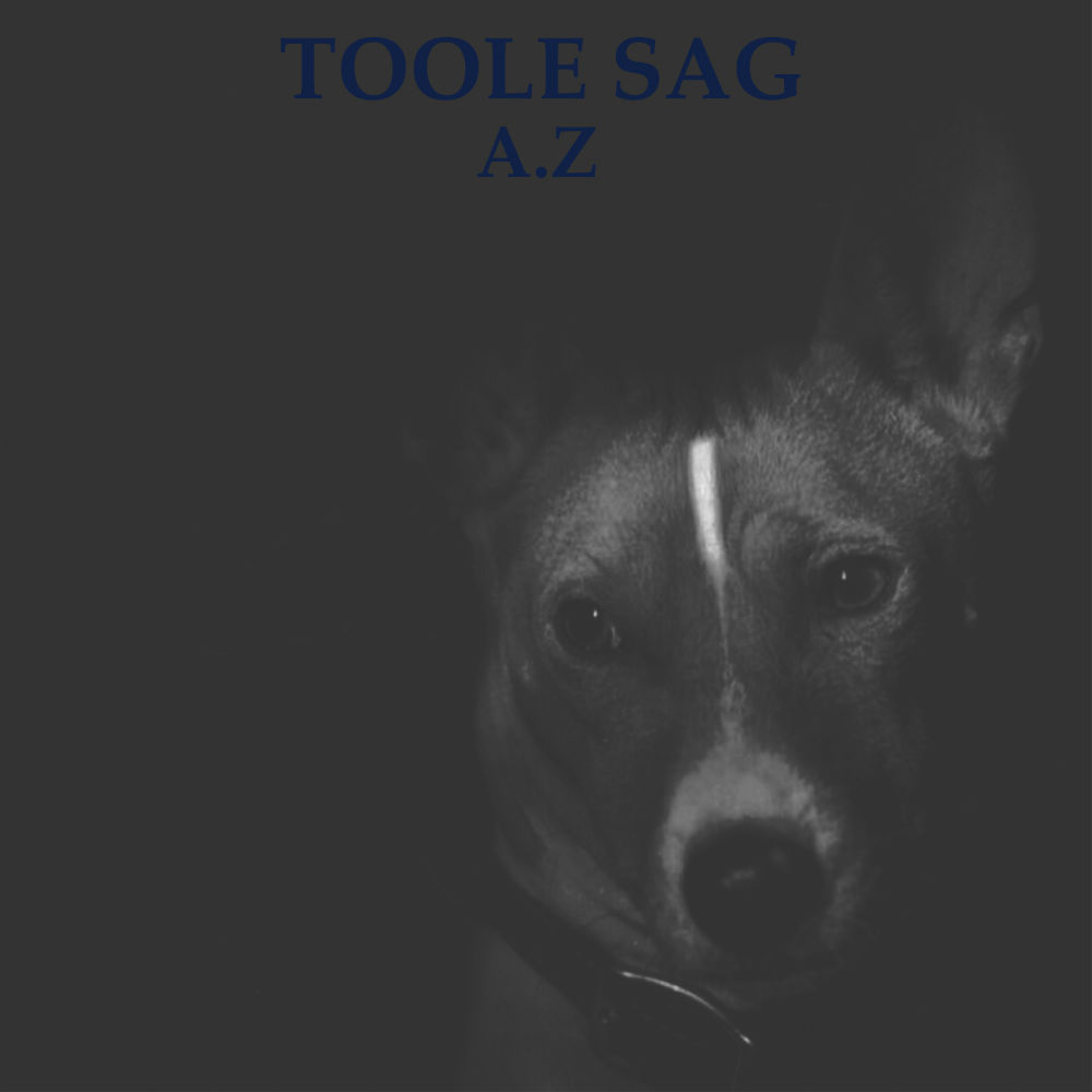 A.Z - Toole Sag